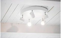 Alpha XL Takspotlight 5L