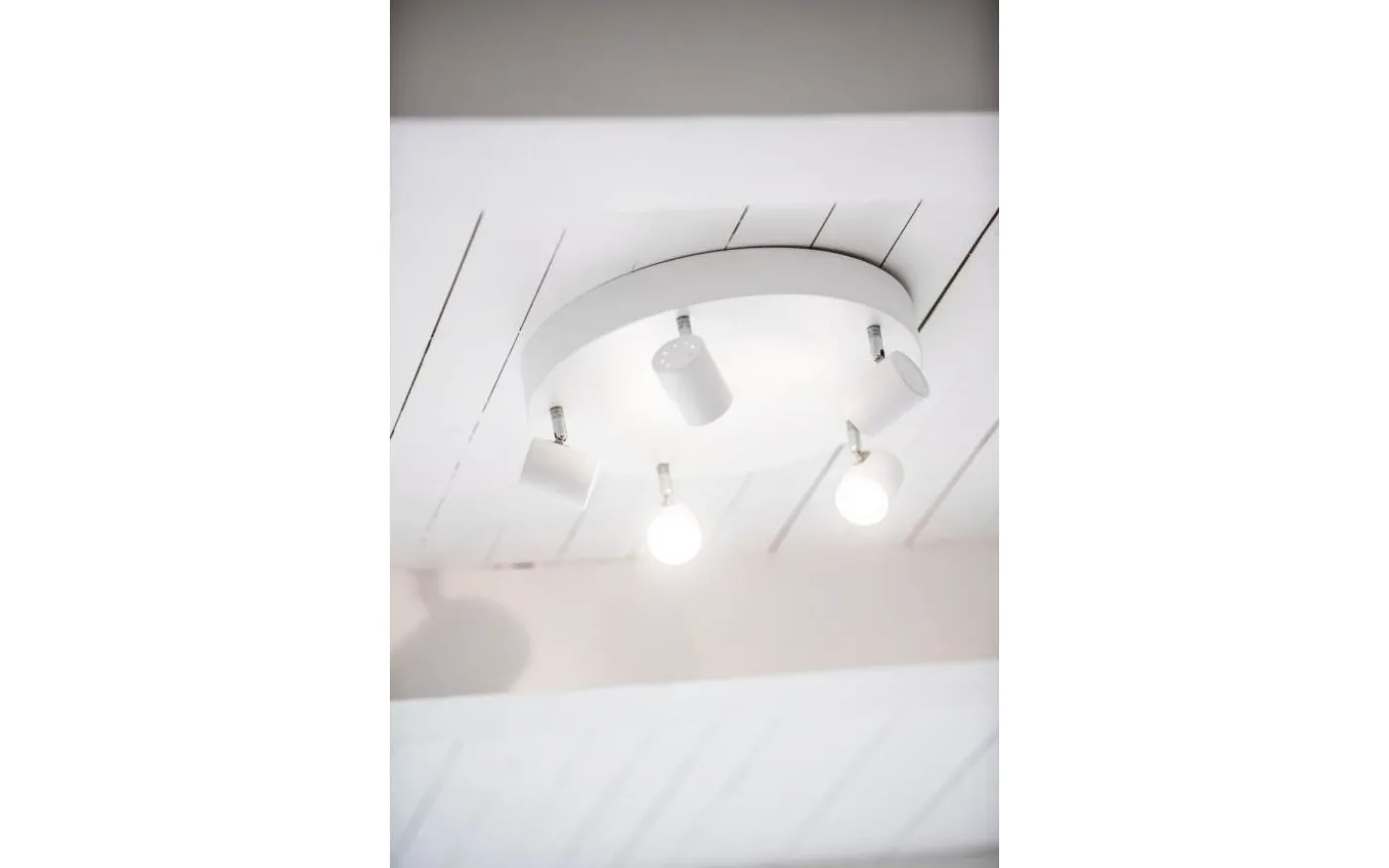 Alpha XL Takspotlight 5L