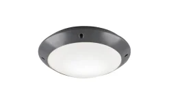 Camaro Plafond 26cm E27 antracit IP54