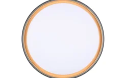 Felis Plafond LED 40cm svart/guld