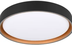 Felis Plafond LED 40cm svart/guld