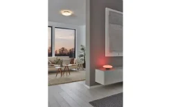 Frattina Plafond 43,5cm Eglo Connect LED 2700-6500K + RGB 27W Nickel