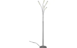 Reed Golvlampa LED i borstat stål