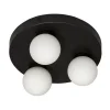 Sandhamn Plafond Ø25cm Svart/Opal IP44
