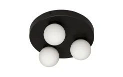Sandhamn Plafond Ø25cm Svart/Opal IP44